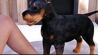 xnxx 773